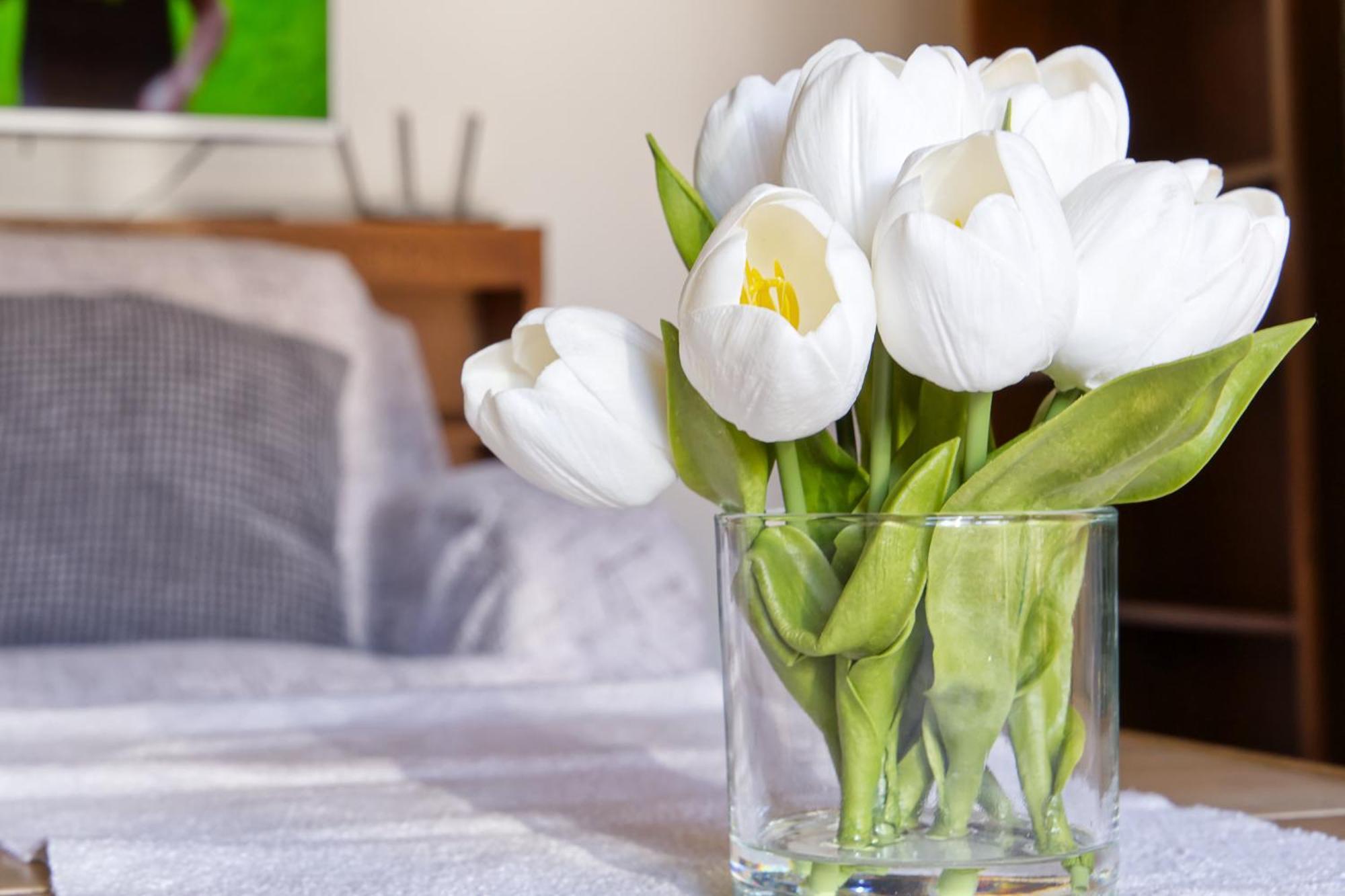 Castle Way Apartments Tamy Блед Экстерьер фото